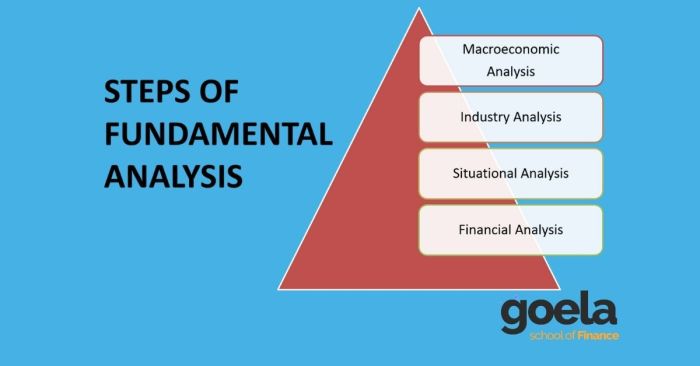 Analysis fundamental stock technical vs market stockmaniacs sarkar ankita