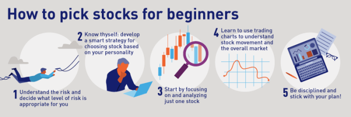 Stocks beginners top picks