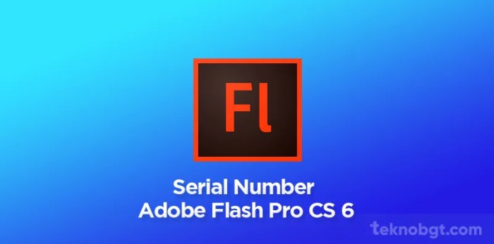 Download serial number adobe flash professional gratis lengkap