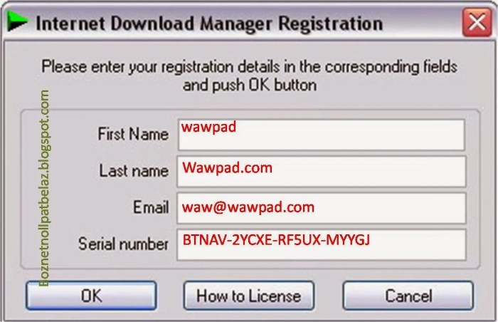 Link download serial number idm aman dan terpercaya