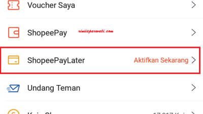 Apa yang harus dilakukan jika lupa password Shopee PayLater?