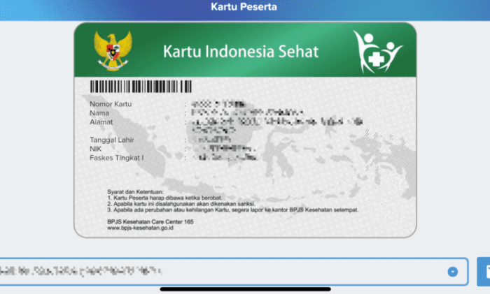 Aktivasi kartu BPJS Kesehatan baru setelah registrasi online